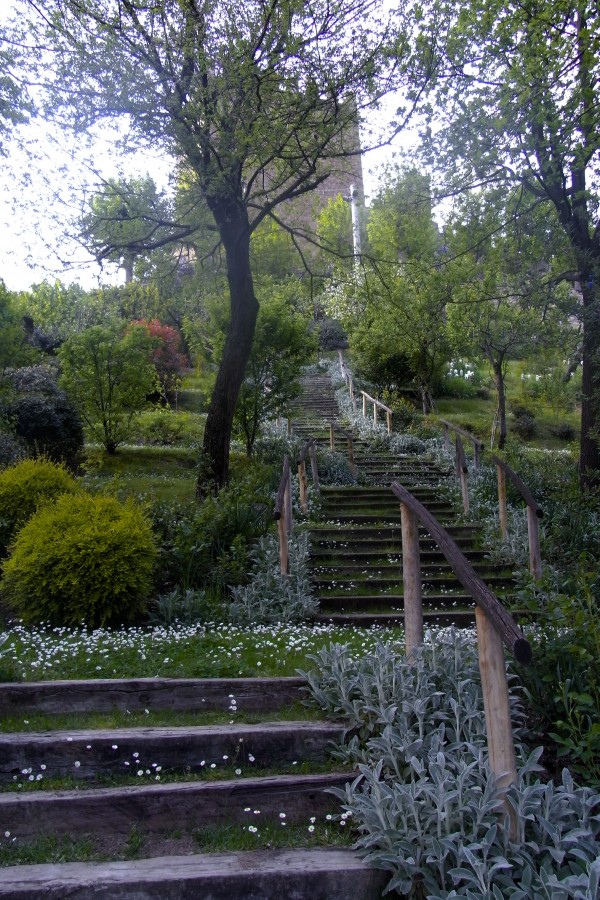 Gardens rocca dajello some of the terraced gardens we can paint at painting holidays italy