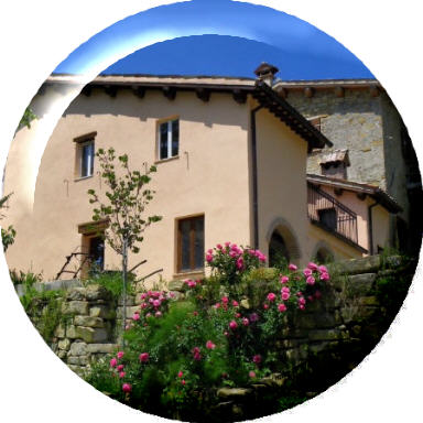 studio gallery buttonrose Home