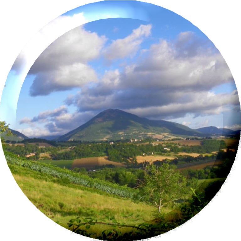 local scenery gallery buttonscen Home