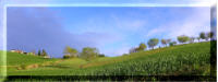 local scenery gallery Local Scenery gallery