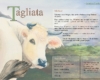 Tagliata, Gorgiano Recipe card, for your painting holiday